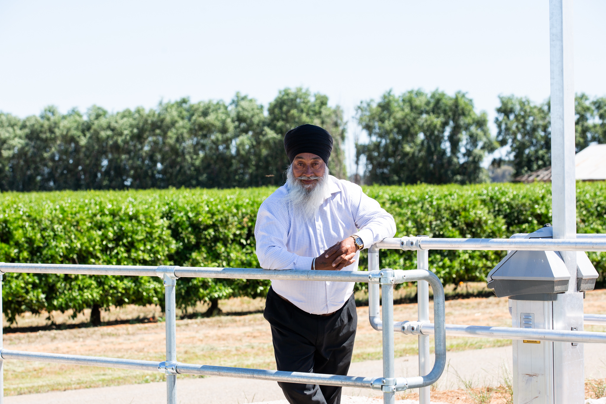 Mr Singh citrus farmer irrigation system horizontal
