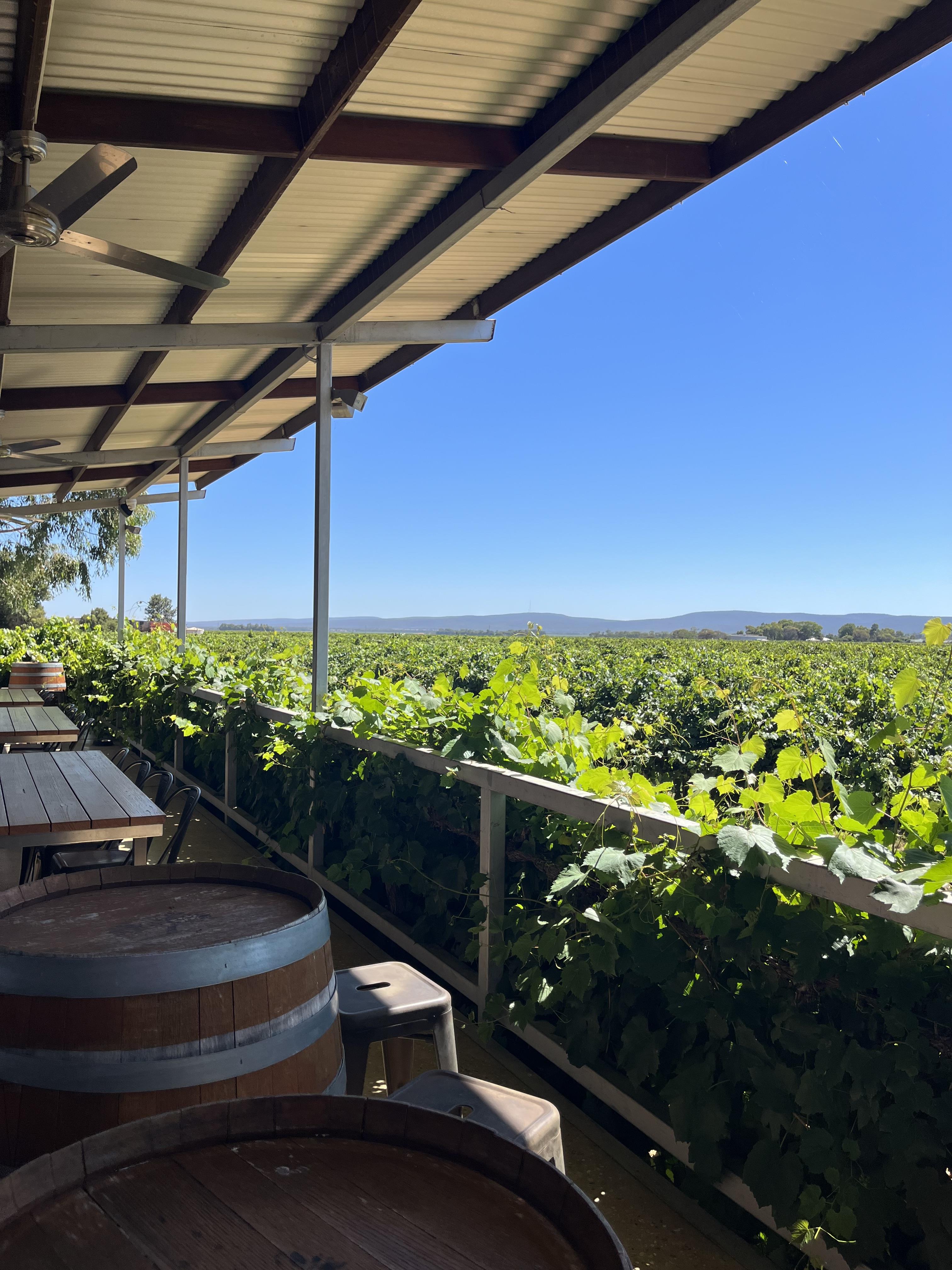 View from Yarran Wines balcony