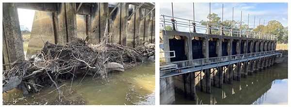 Hay Road Reg before and after_1 July 2022_mailchimp3